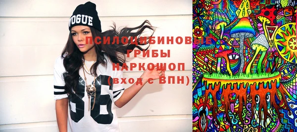 ПСИЛОЦИБИНОВЫЕ ГРИБЫ Инсар