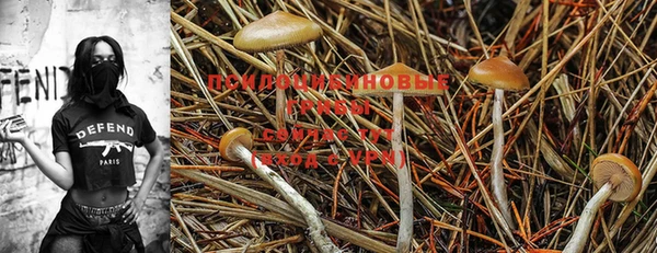 марихуана Иннополис