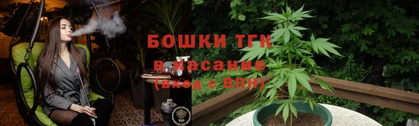 ПСИЛОЦИБИНОВЫЕ ГРИБЫ Инсар